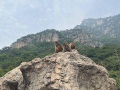 -云台山风景名胜区