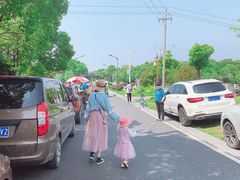 -八大山人梅湖景区