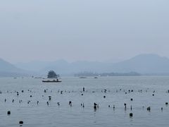 -杭州君悦酒店·湖滨28中餐厅