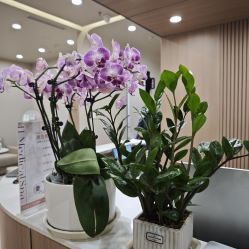 -和颜一美轻医美连锁