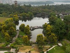 -张坝桂圆林公园