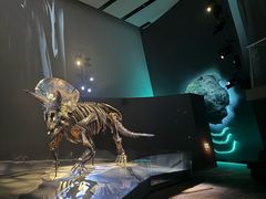 -墨尔本博物馆(Melbourne Museum)