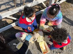 -前小桔亲子创意农场·草莓采摘·露营烧烤