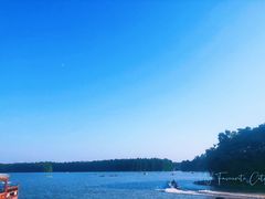 -上海海湾国家森林公园