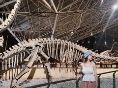 -世界恐龙谷景区