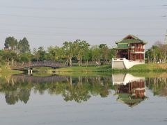 -王借岗森林公园