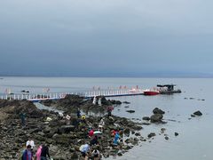-养马岛旅游度假区