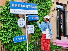 -特克斯八卦城