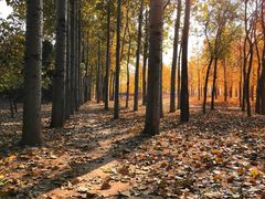 -中关村生命科学园