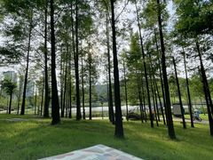 -牛岗山公园
