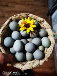 -Oasis Beauty水磨坊科技美肤中心