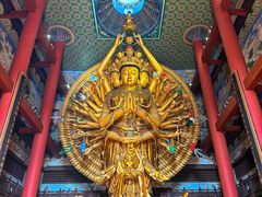 -上海东林寺(金山区)