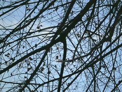 -十一咖啡(青年大街工厂店)