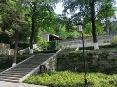 -镇江市南山风景名胜区竹林景区