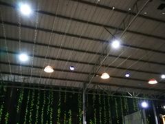 -大岗仙庙烧鸡(海南总店)