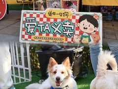 -中粮·祥云小镇