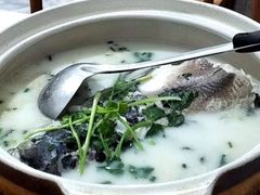 -天乐农家鱼头王(天目湖店)