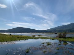 -腾冲北海湿地