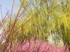 -永定河休闲森林公园