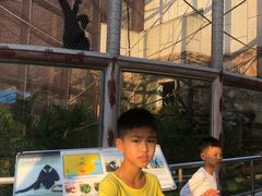 -石排湾郊野公园