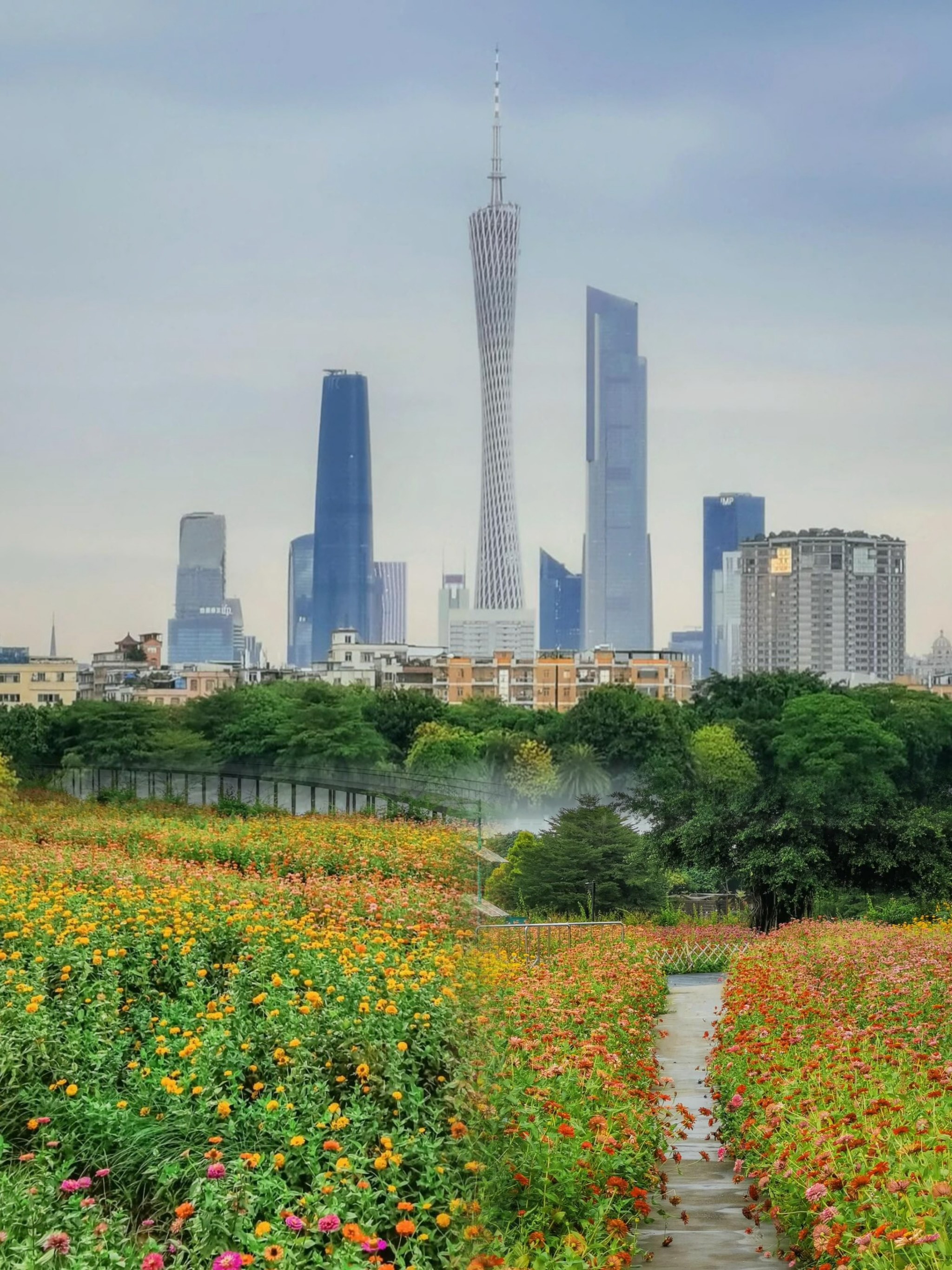 广州海珠湖风景图片