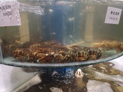 -四海蒸鲜蒸汽海鲜自助(北戴河店)