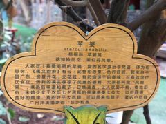 -呀路古热带植物园