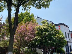 -山塘街