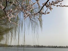 -颐和园