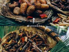 -昆虫窝子·特色云南菜(拓东路总店)