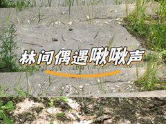 -龙沙公园