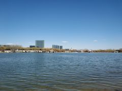 -大兴滨河森林公园