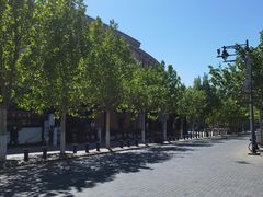 -陈记锅巴菜(五大道店)