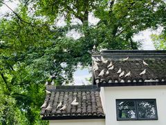 -善卷洞风景区