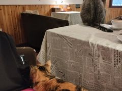 -隅cafe(傅厚岗店)