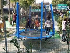 -小鱼草莓采摘园农家乐·小鱼餐厅