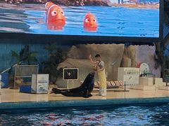 -泉城欧乐堡海洋极地世界