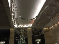 -新加坡乌节希尔顿酒店 (SG Clean)
