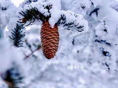 -密苑云顶乐园(云顶滑雪场)