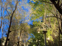 -长白岛森林公园