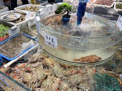 -健跳小海鲜(人民路店)