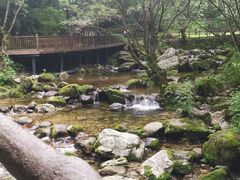 -牛背梁国家森林公园