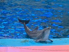 -福州罗源湾海洋世界旅游区