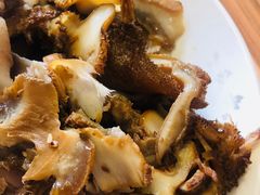 牛肚-洪记白水羊头(天坛店)