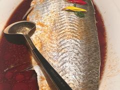 -醉庐·新上海菜(南京西路店)