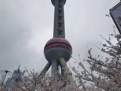 -东方明珠广播电视塔