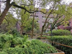 -香港大学