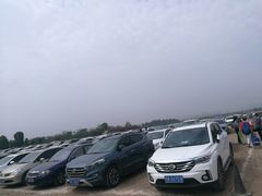 -秀丽东方