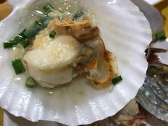 -澳门环岛游湾仔码头