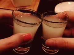 茴香酒-Efes Turkish & Mediterranean Cuisine 艾菲斯餐厅(陆家嘴店)